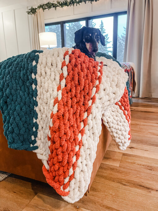 Cozy Blanket Workshop - Sunday, January 19th - Image 5